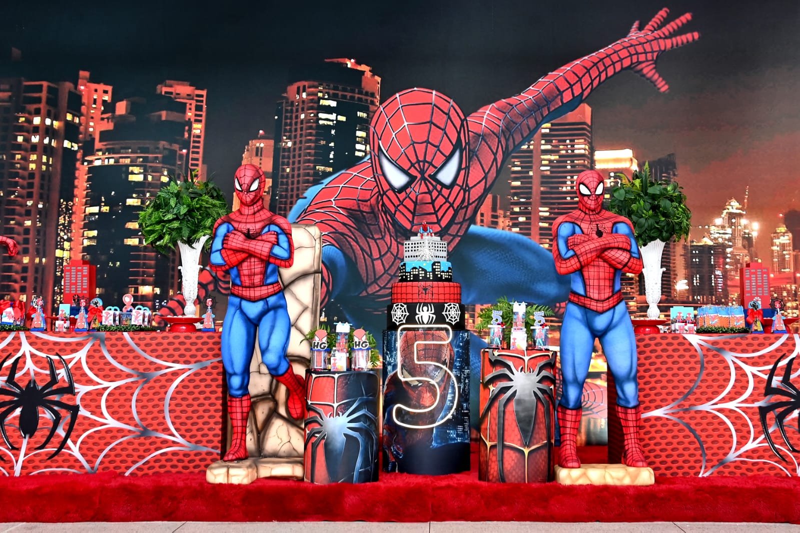 homem aranha.jpeg113