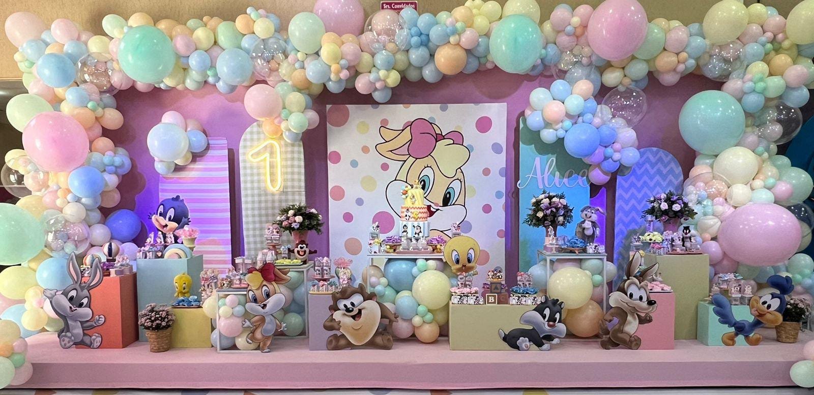 loney tunes menina 2