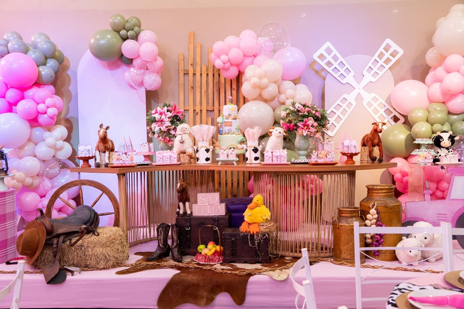 fazendinha menina.jpeg6